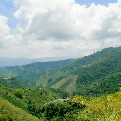 コロンビア　ウィラ　ウォッシュド